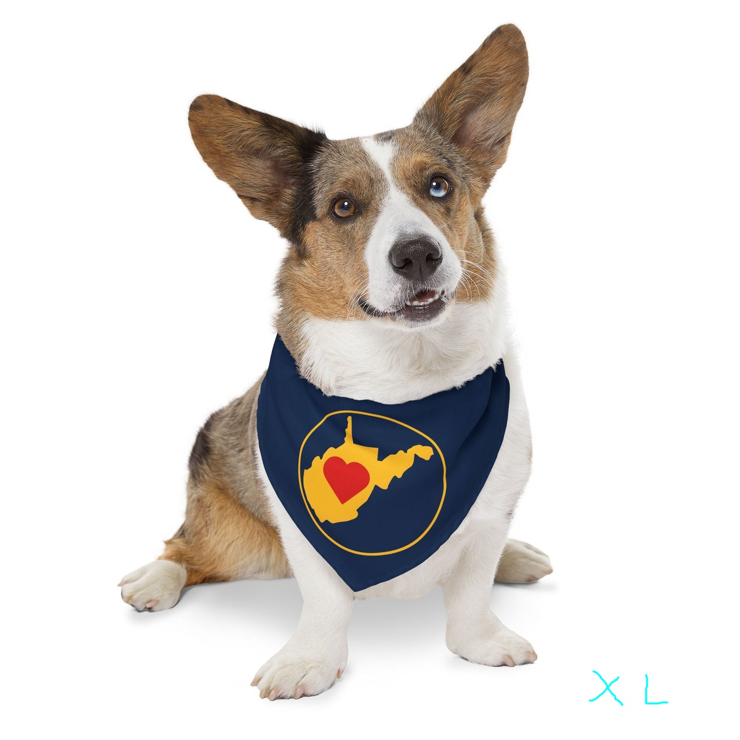 Pet Bandana Collar, Adjustable | Heart WV