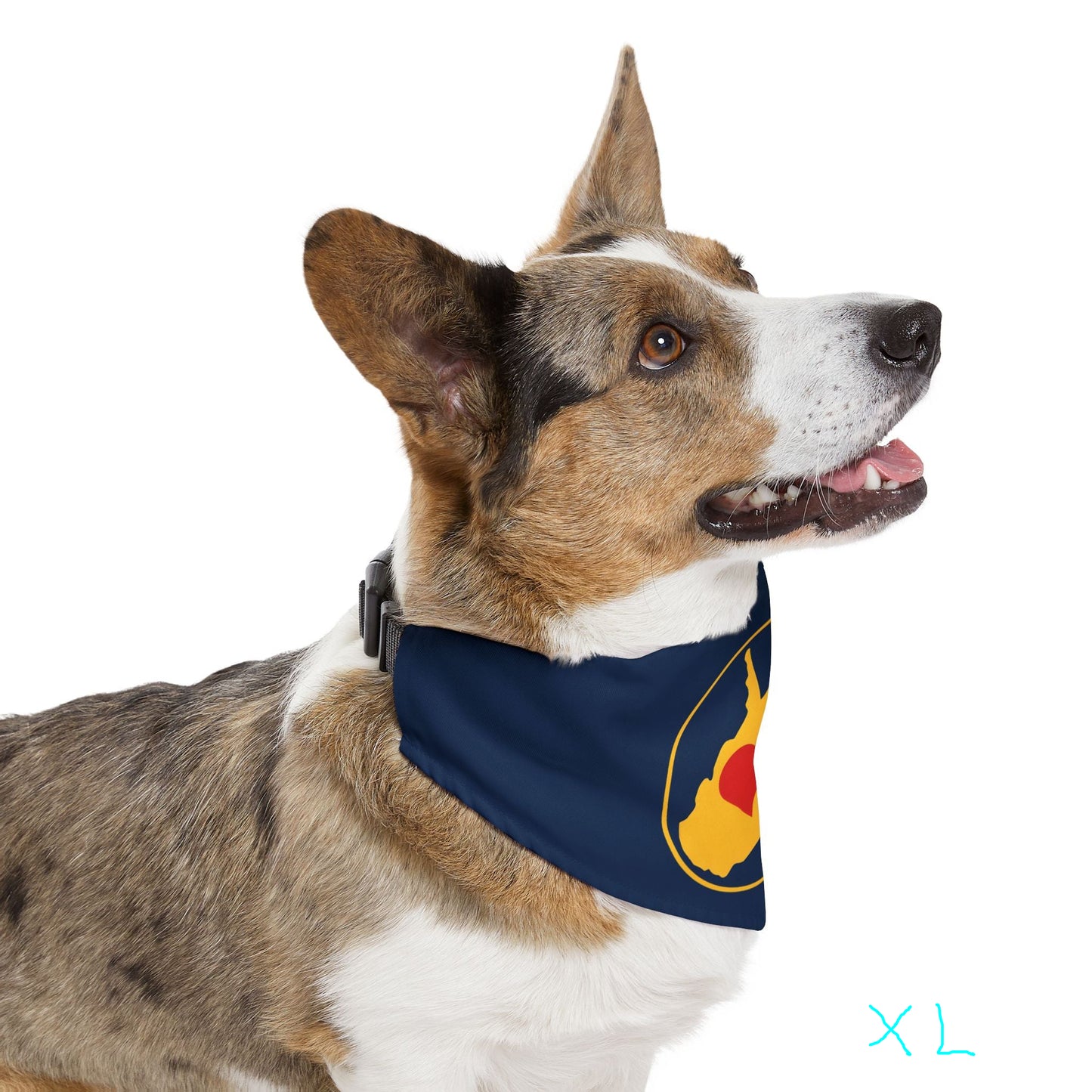 Pet Bandana Collar, Adjustable | Heart WV