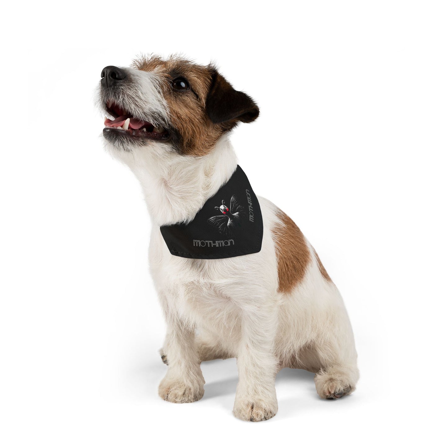 Pet Bandana Collar | Spooky Mothman