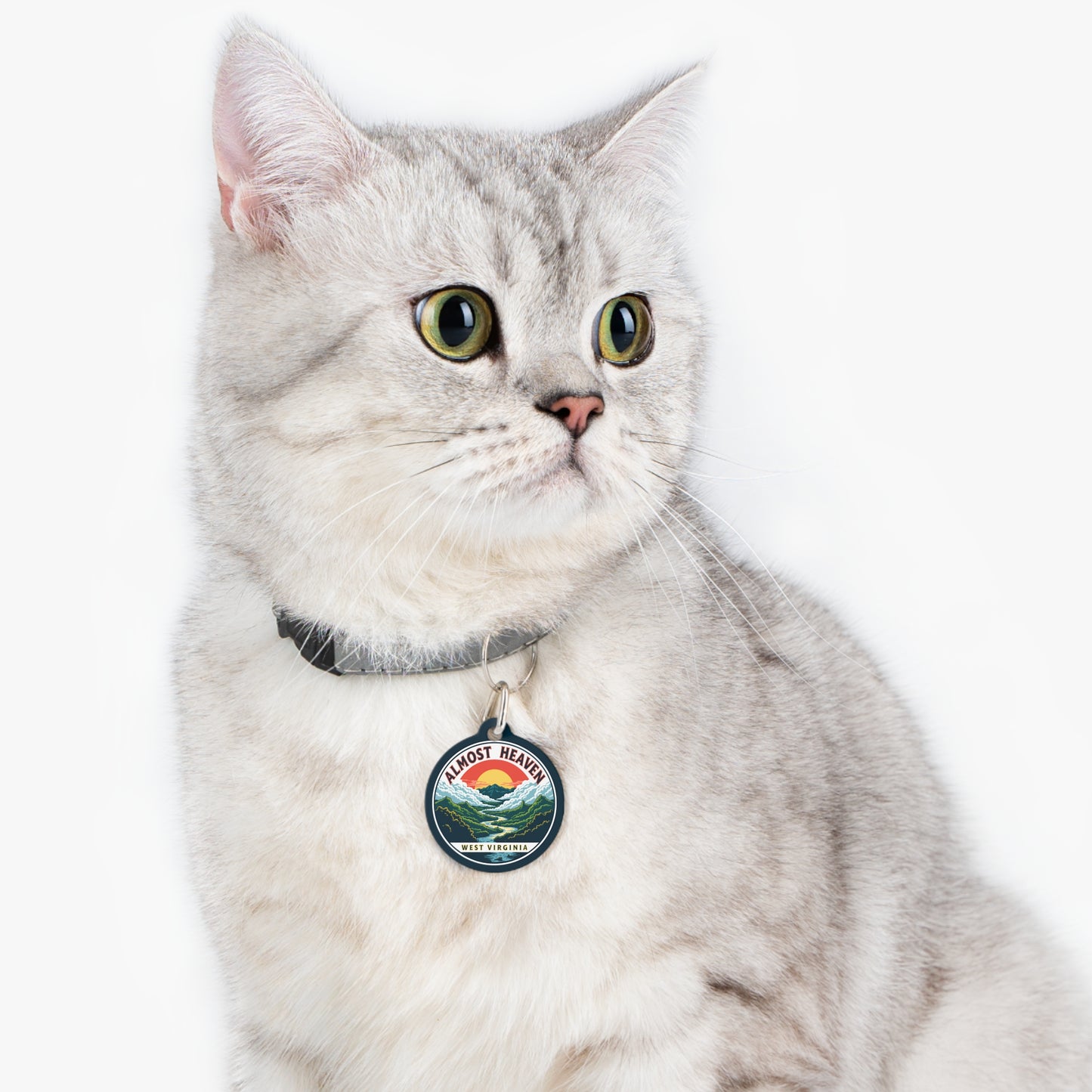 Pet Tag| "Almost Heaven West Virginia" /w WV Dandelion Design on reverse-Nicodemus Studios