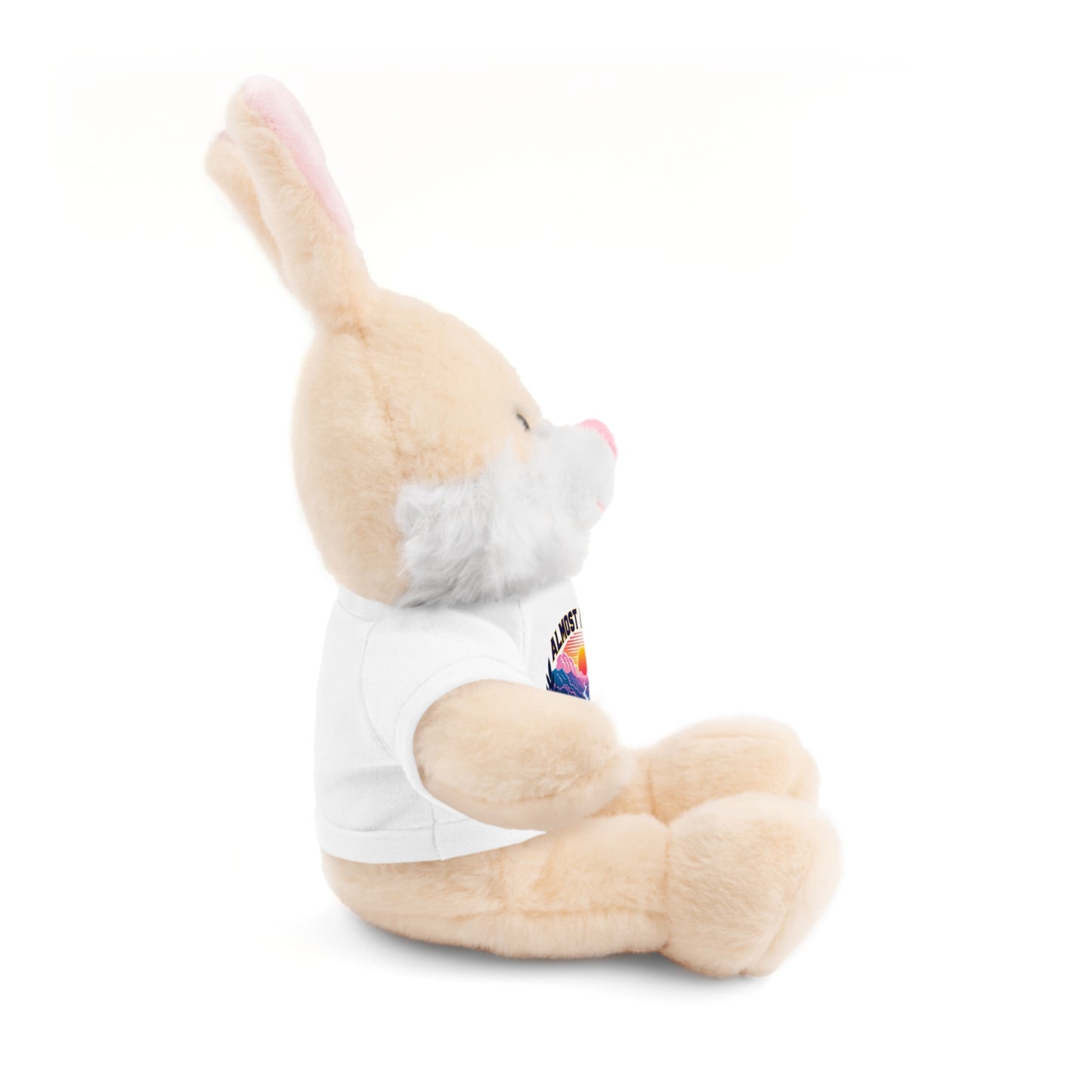 Stuffed Animals with Tee-Nicodemus Studios
