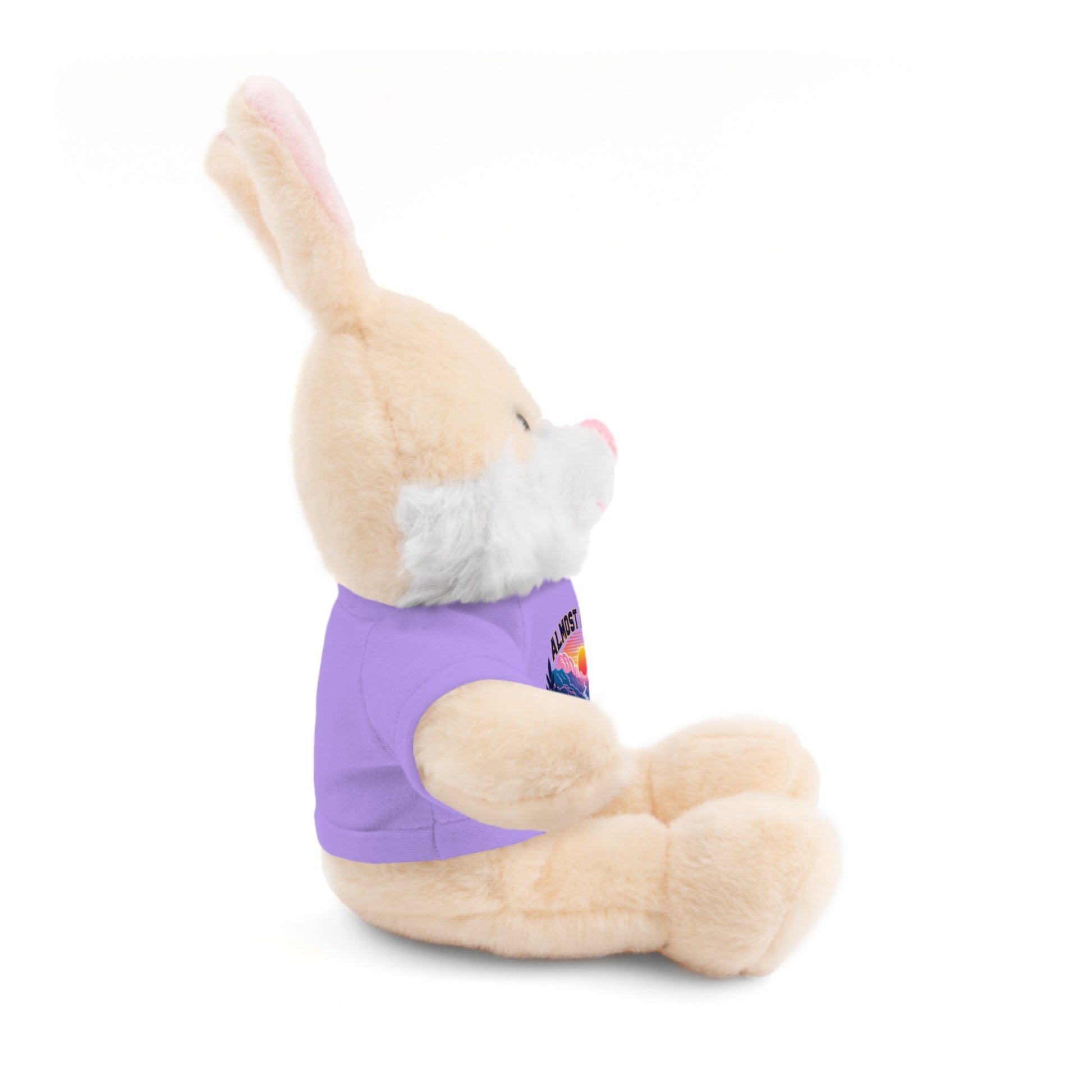 Stuffed Animals with Tee-Nicodemus Studios