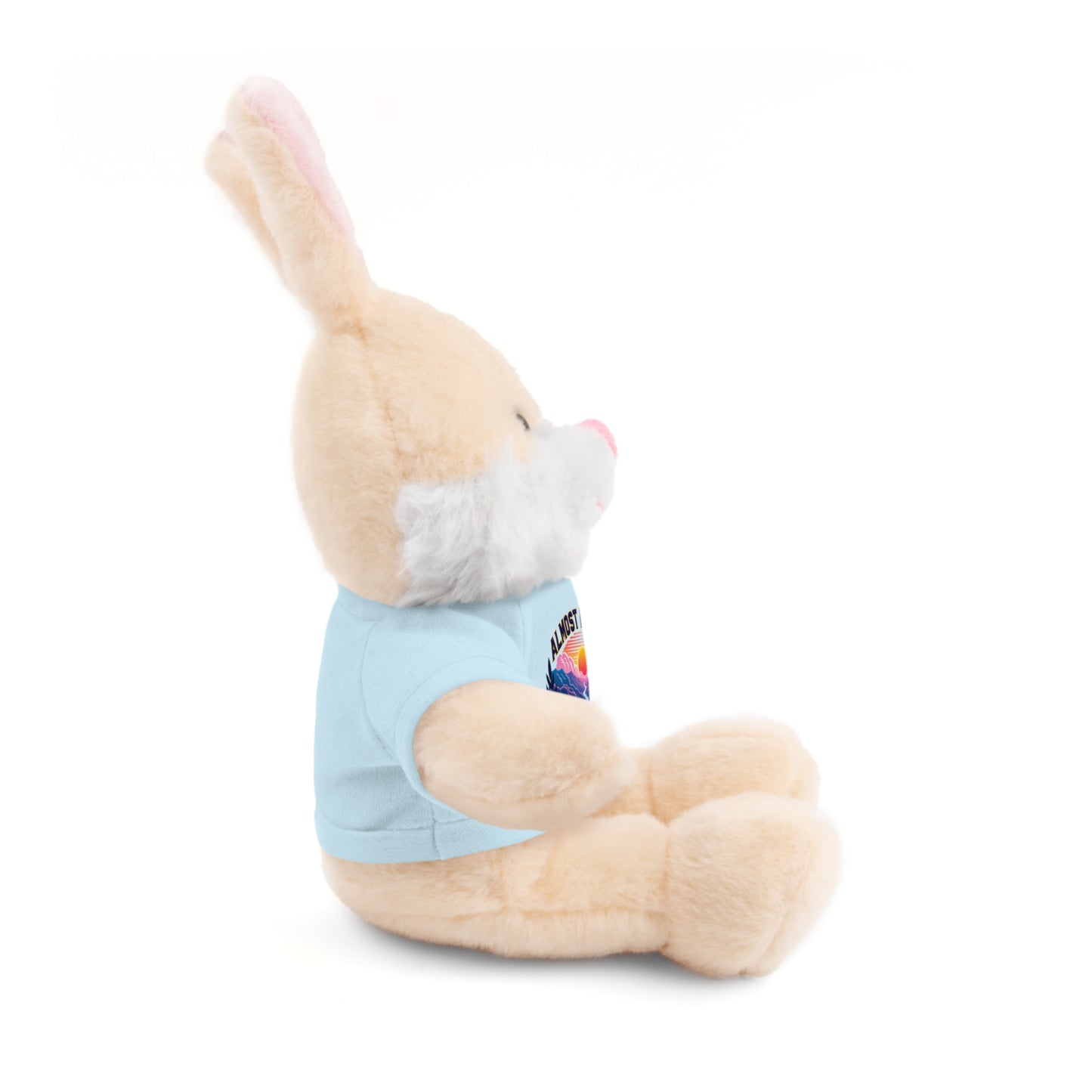 Stuffed Animals with Tee-Nicodemus Studios