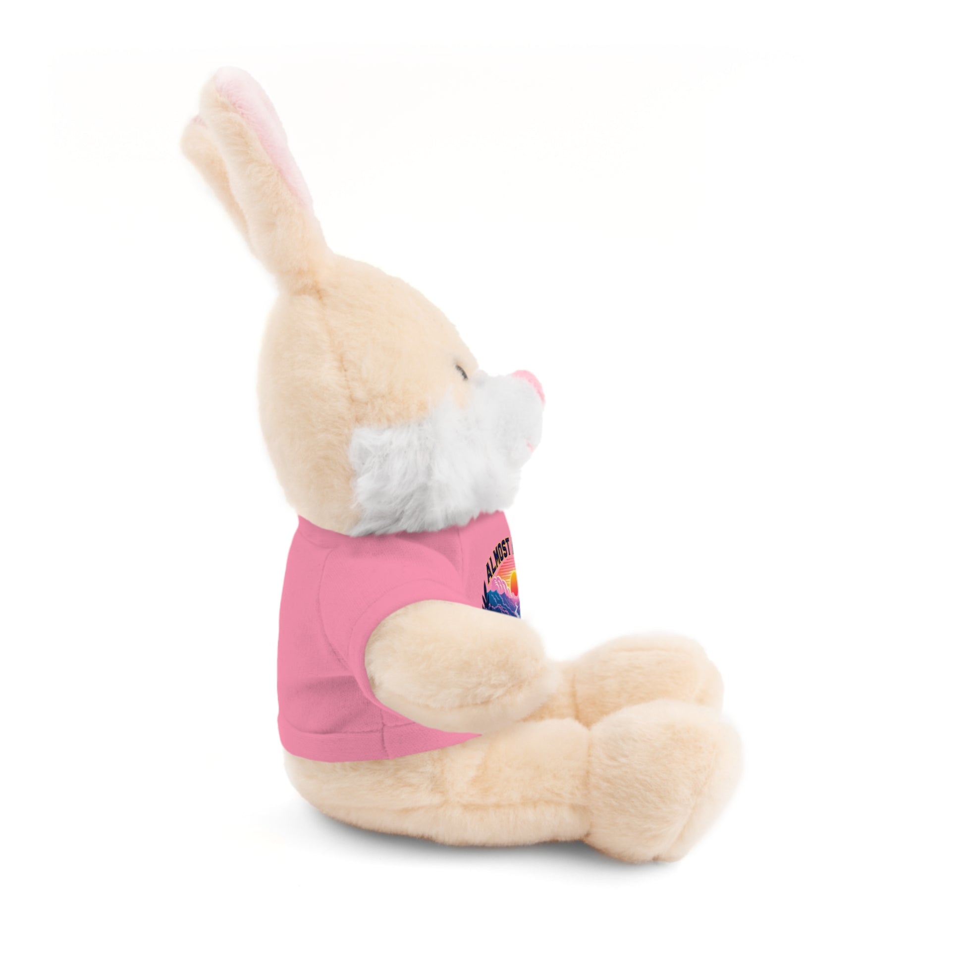 Stuffed Animals with Tee-Nicodemus Studios
