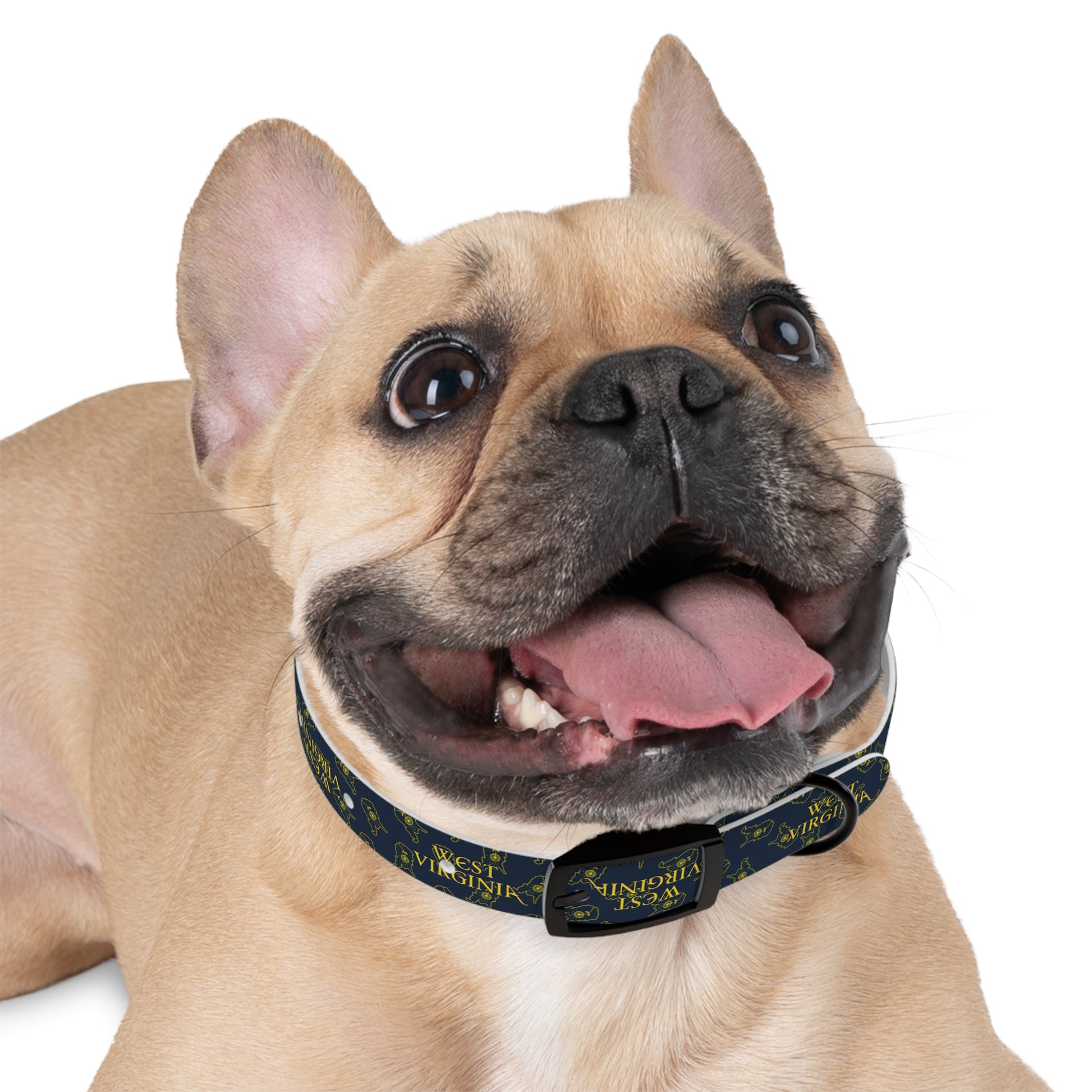 Dog Collar | West Virginia Dandelion Design-Nicodemus Studios
