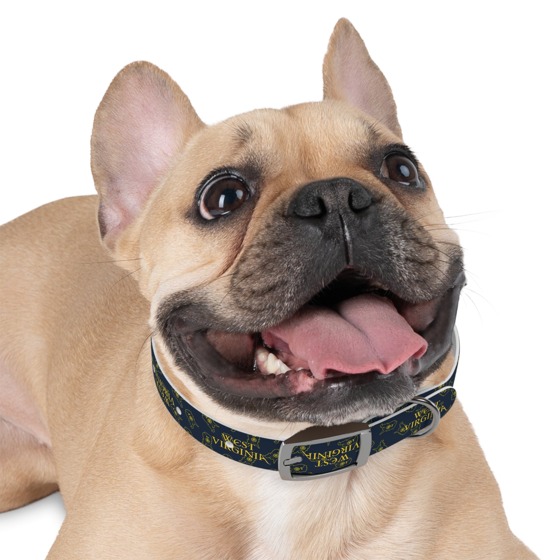 Dog Collar | West Virginia Dandelion Design-Nicodemus Studios