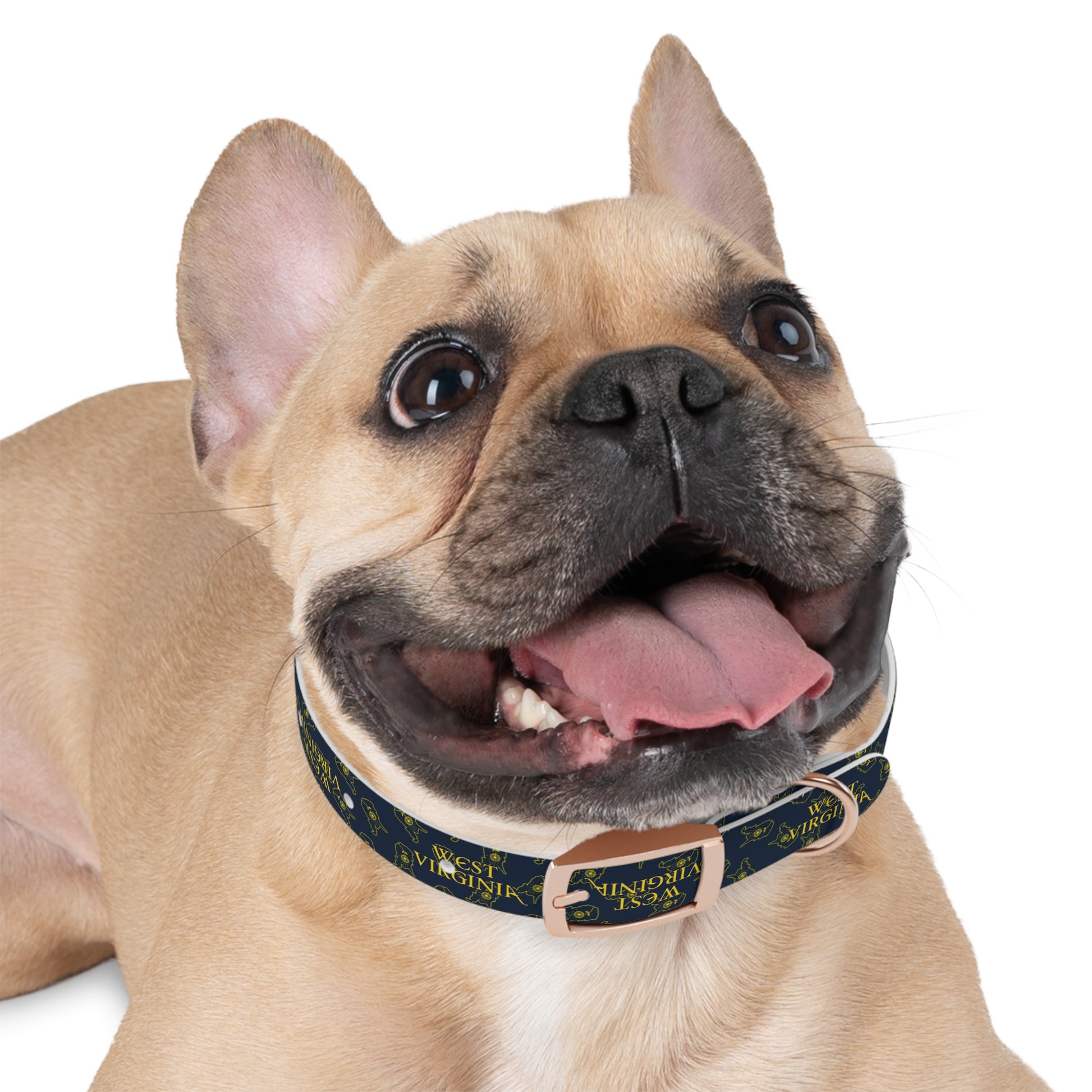 Dog Collar | West Virginia Dandelion Design-Nicodemus Studios