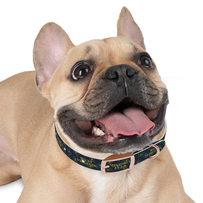 Dog Collar | West Virginia Dandelion Design-Nicodemus Studios