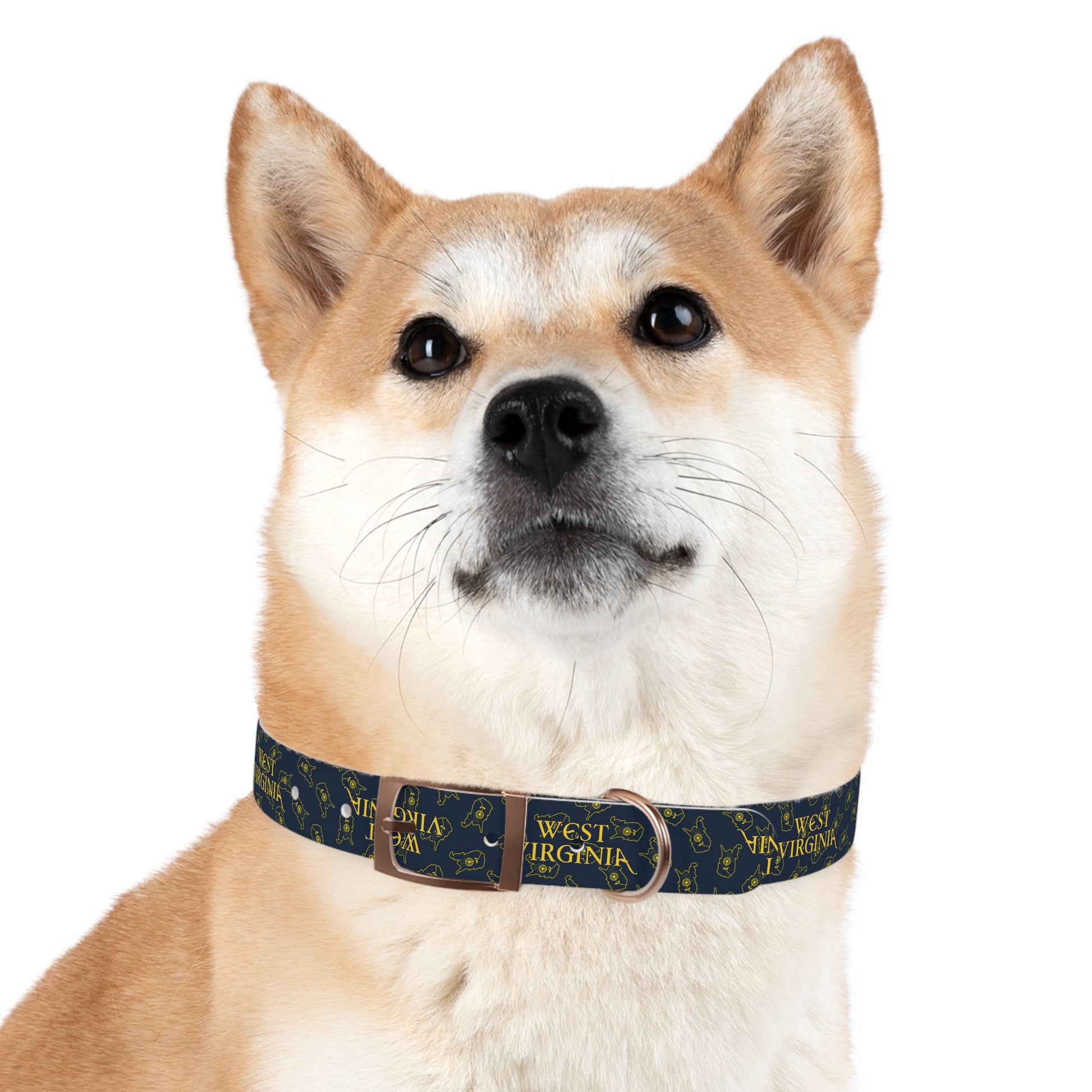 Dog Collar | West Virginia Dandelion Design-Nicodemus Studios