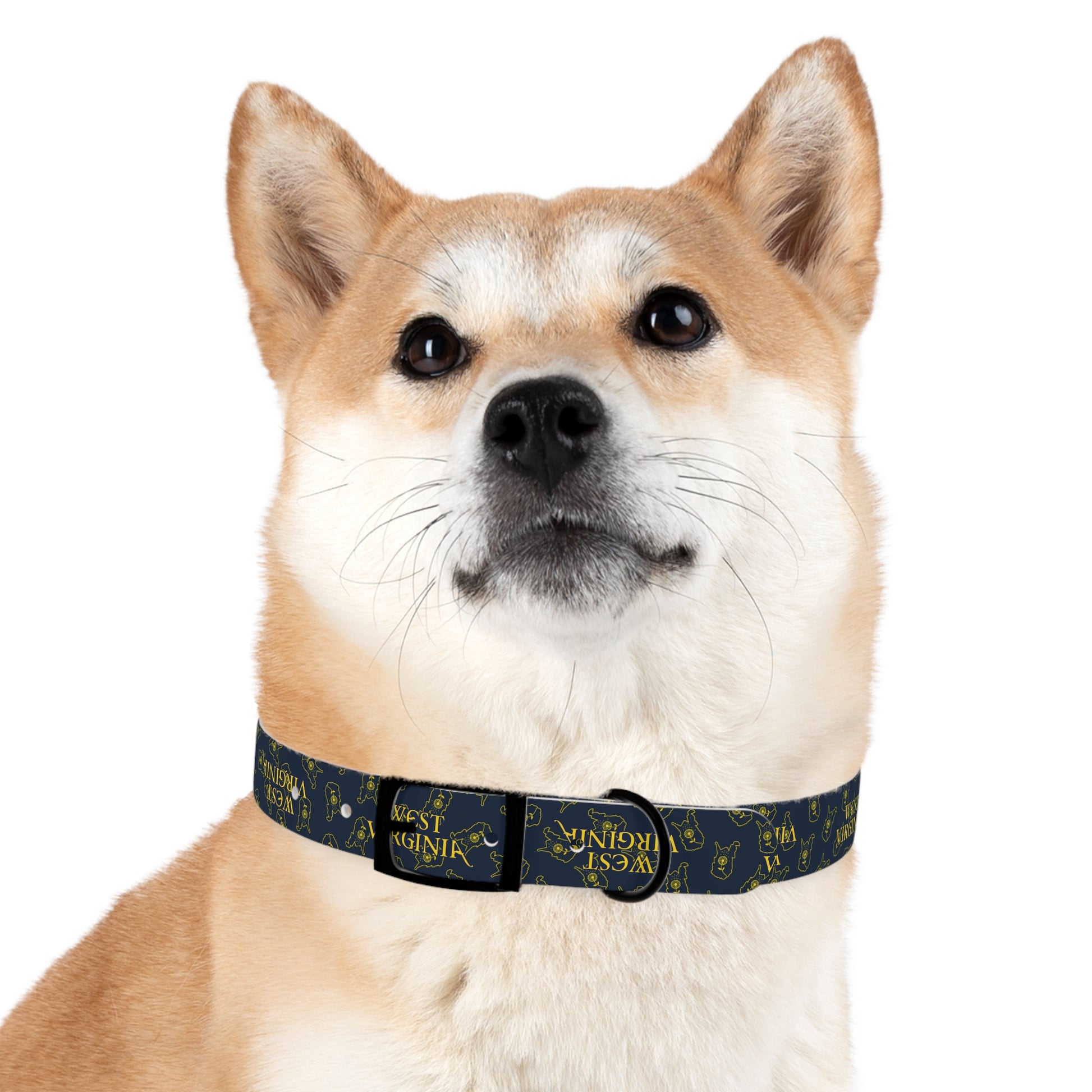 Dog Collar | West Virginia Dandelion Design-Nicodemus Studios