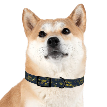 Dog Collar | West Virginia Dandelion Design-Nicodemus Studios