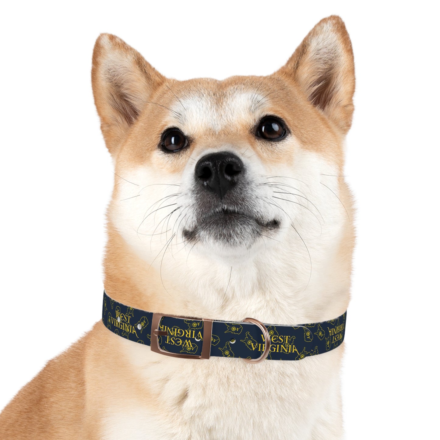 Dog Collar | West Virginia Dandelion Design-Nicodemus Studios