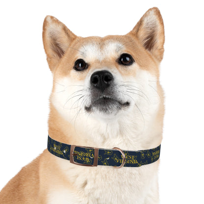 Dog Collar | West Virginia Dandelion Design-Nicodemus Studios