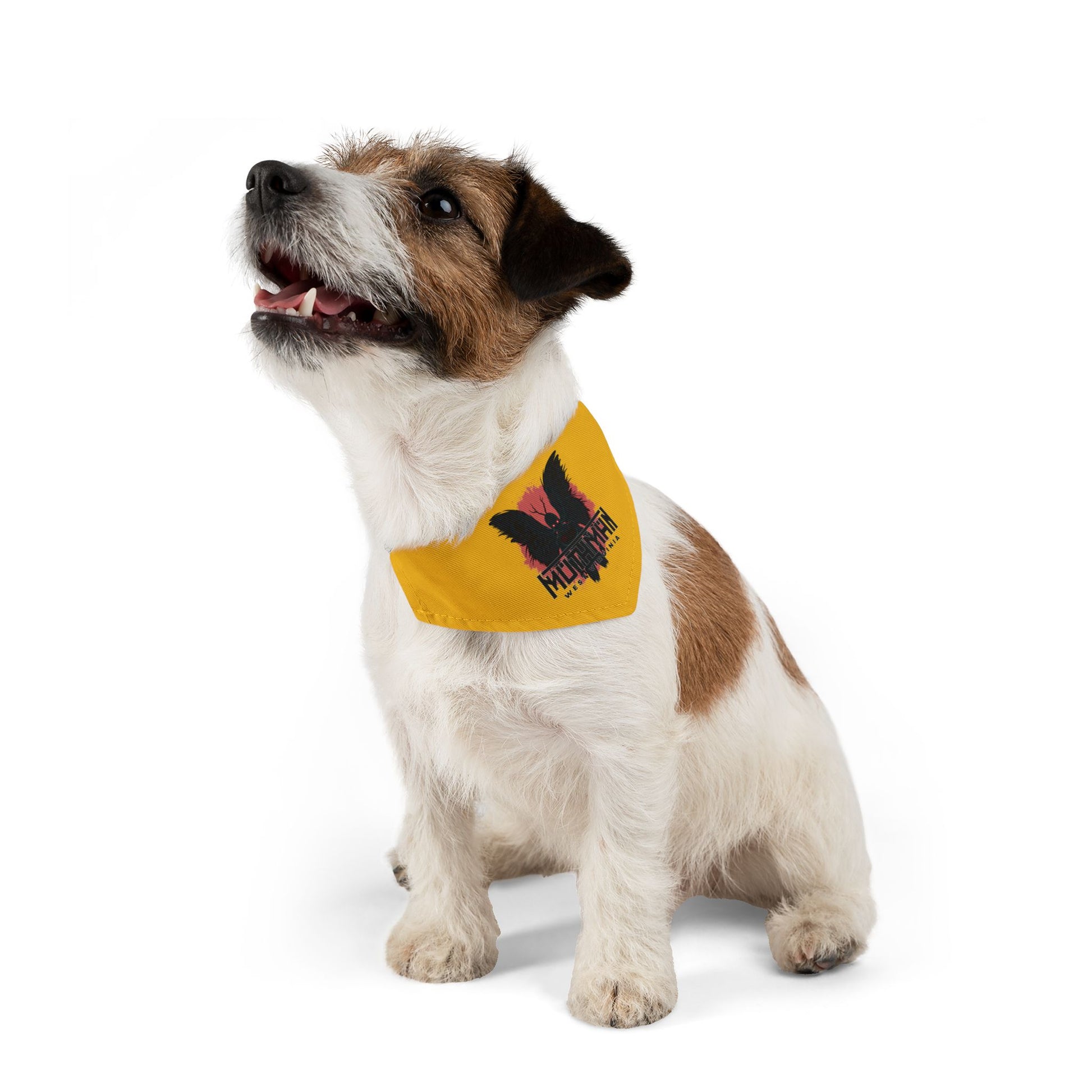 Pet Bandana Collar | Mothman-Yellow-Nicodemus Studios