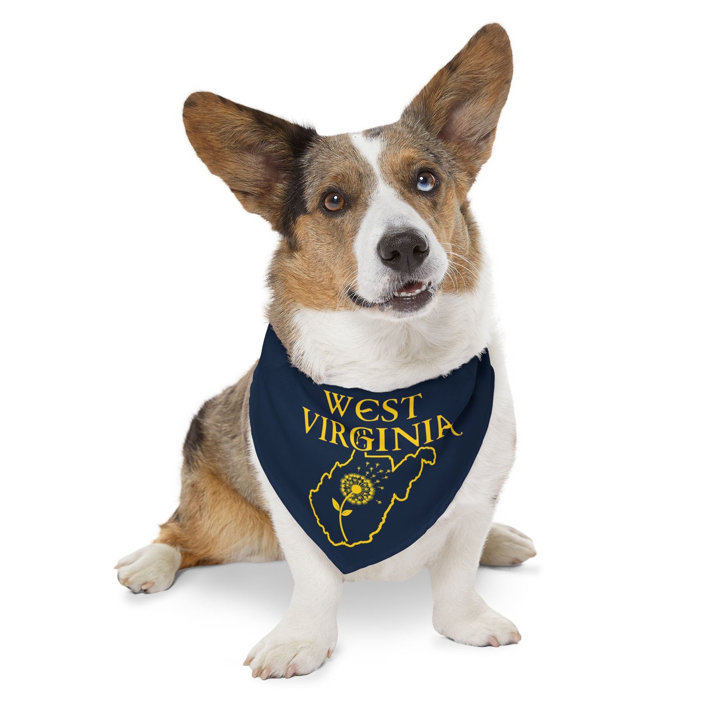 Pet Bandana Collar | West Virginia Dandelion Design-Nicodemus Studios