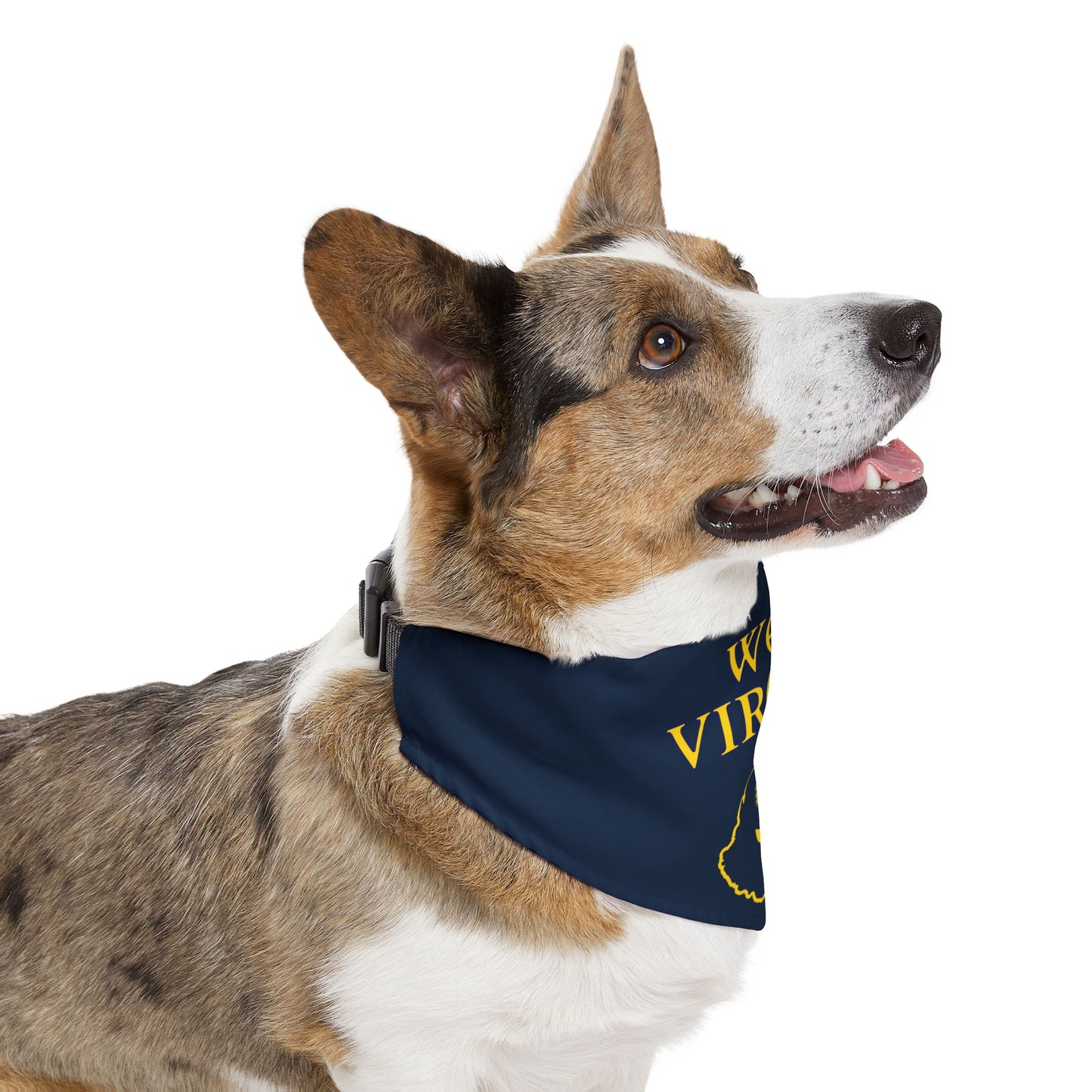 Pet Bandana Collar | West Virginia Dandelion Design-Nicodemus Studios