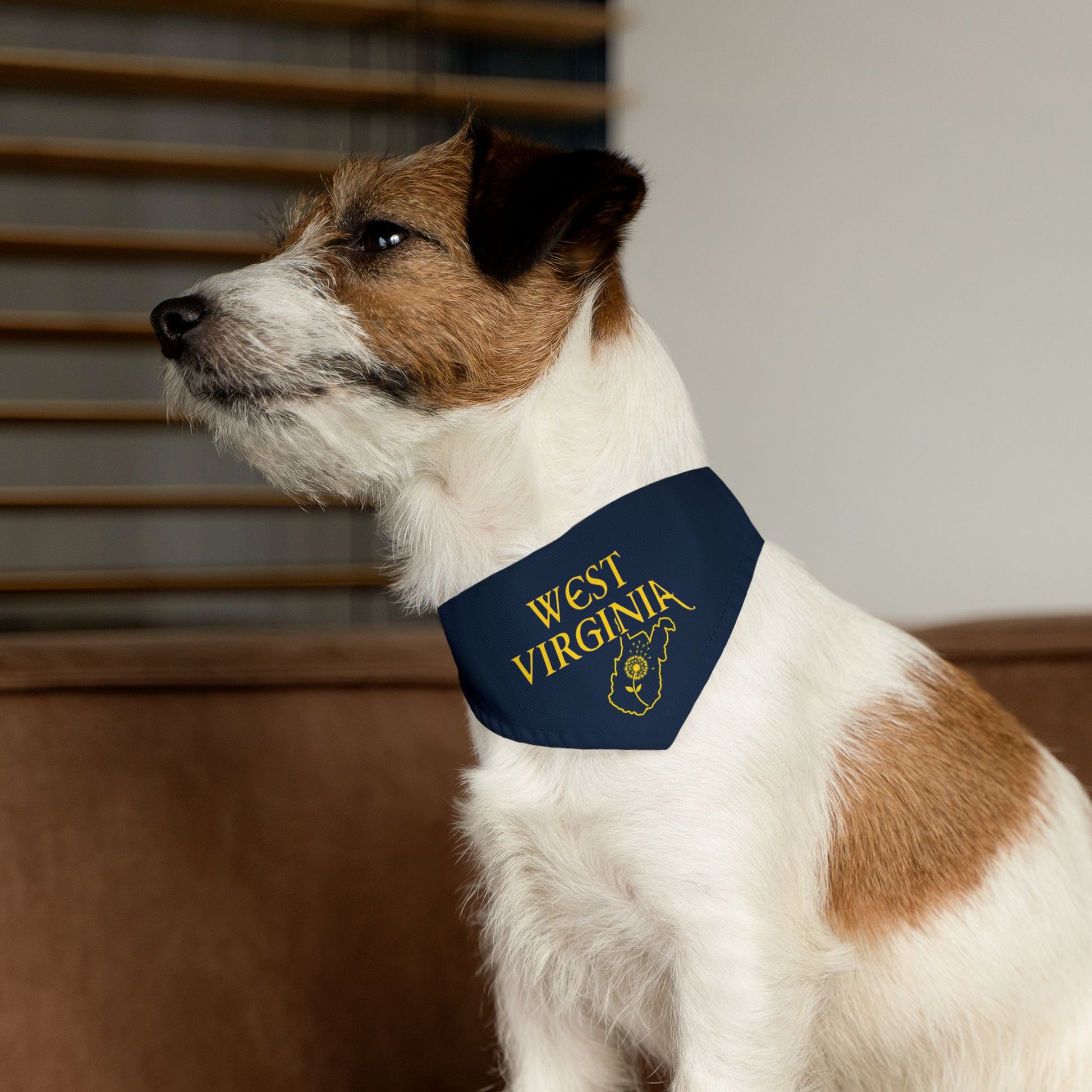 Pet Bandana Collar | West Virginia Dandelion Design-Nicodemus Studios