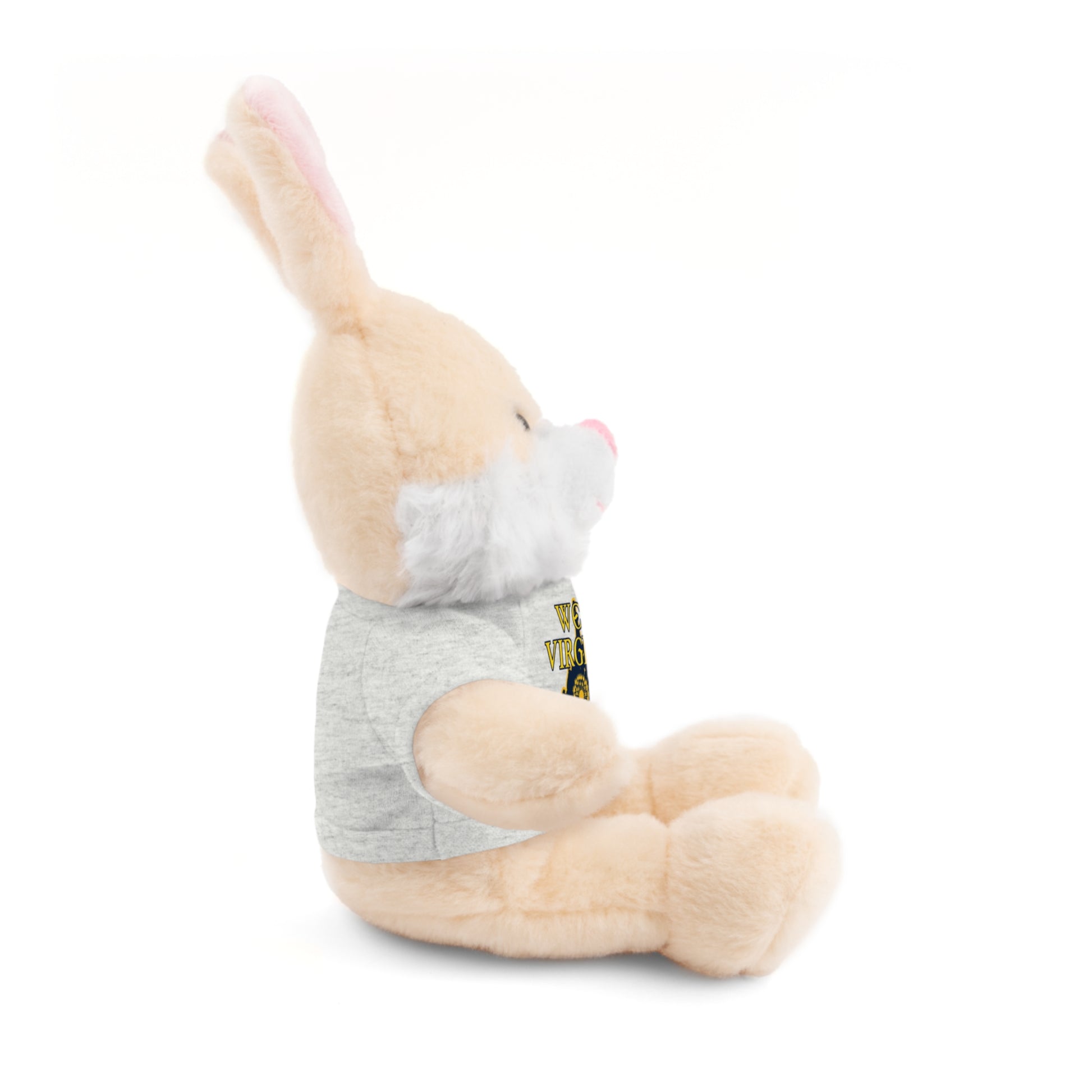 WV Plushies | West Virginia Dandelion Plushie Tee-Nicodemus Studios