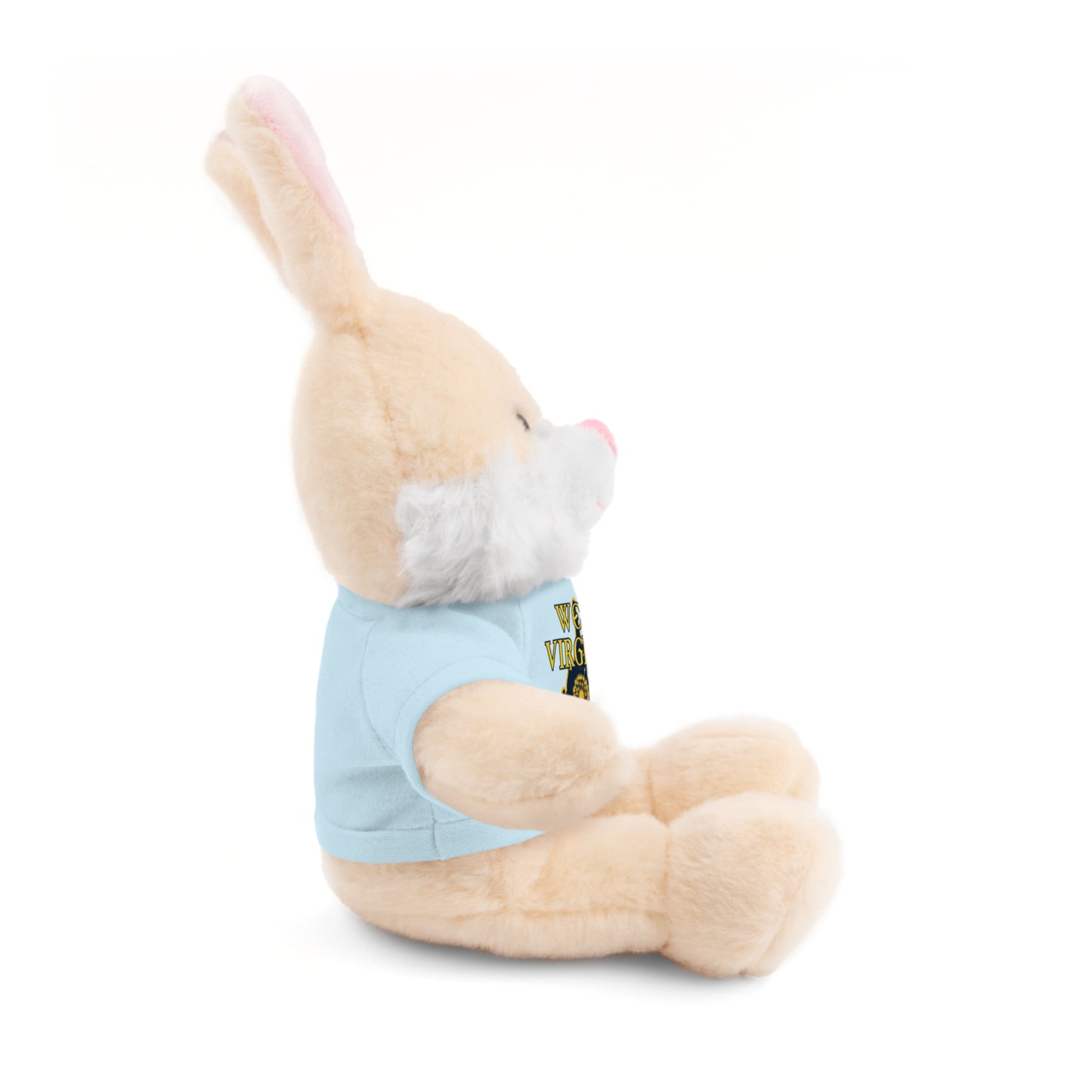 WV Plushies | West Virginia Dandelion Plushie Tee-Nicodemus Studios