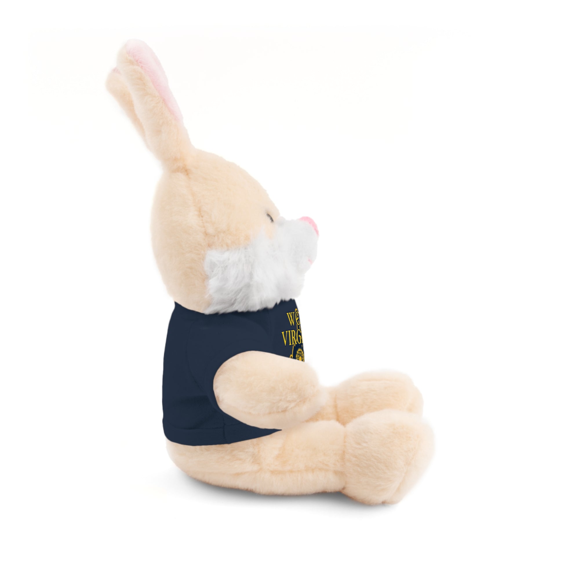 WV Plushies | West Virginia Dandelion Plushie Tee-Nicodemus Studios